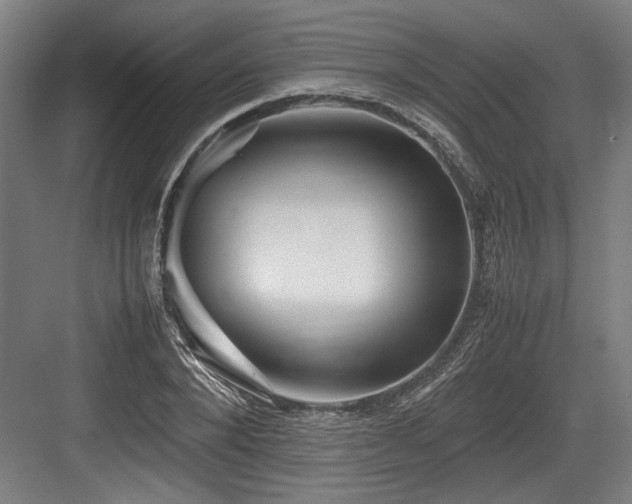 X0000083660880200702121213