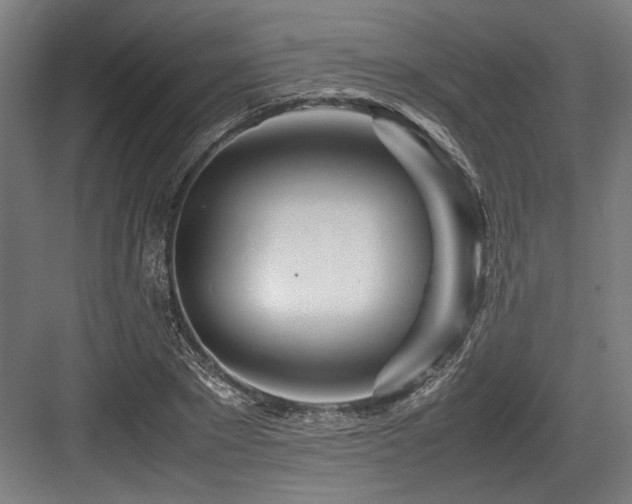 X0000083660881200702121213