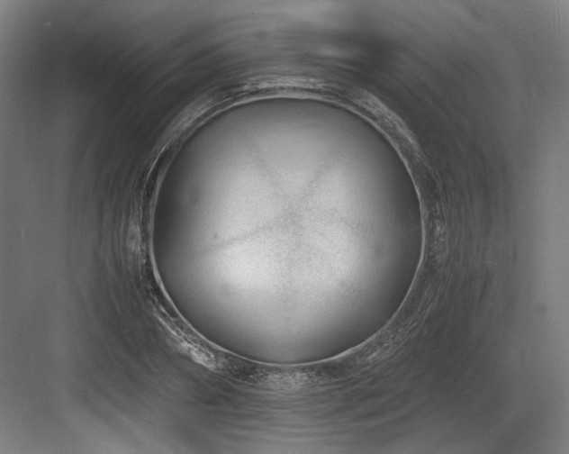 X0000083660882200702121213