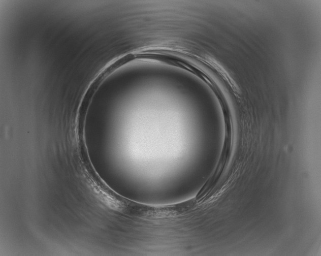 X0000083660884200702121213
