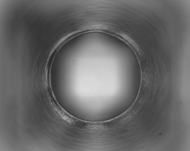 X0000083660886200702121213