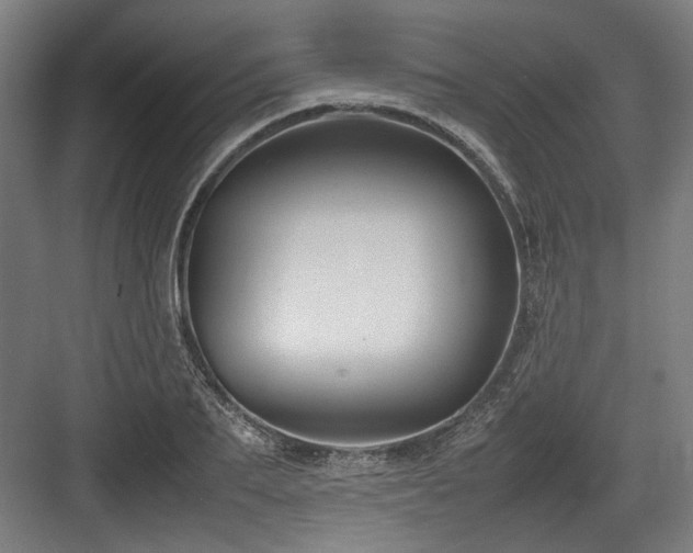 X0000083660887200702121213