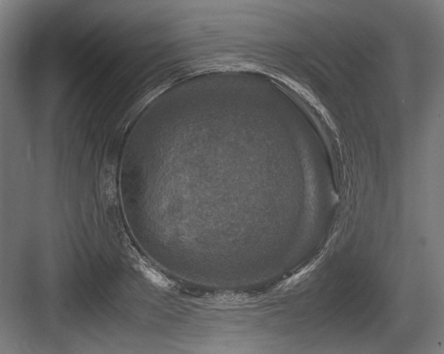 X0000083660889200702121213