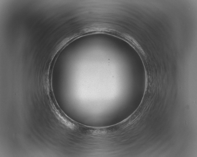 X0000083660890200702121213
