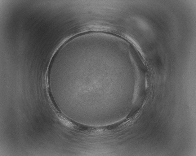 X0000083660891200702121213