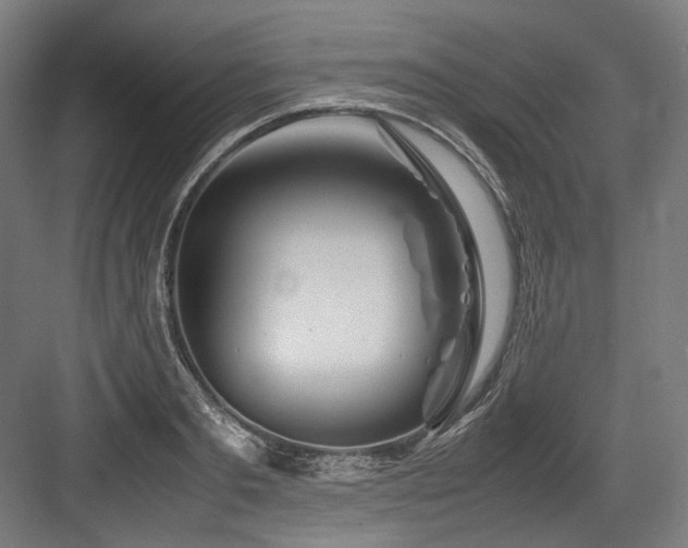X0000083660893200702121213