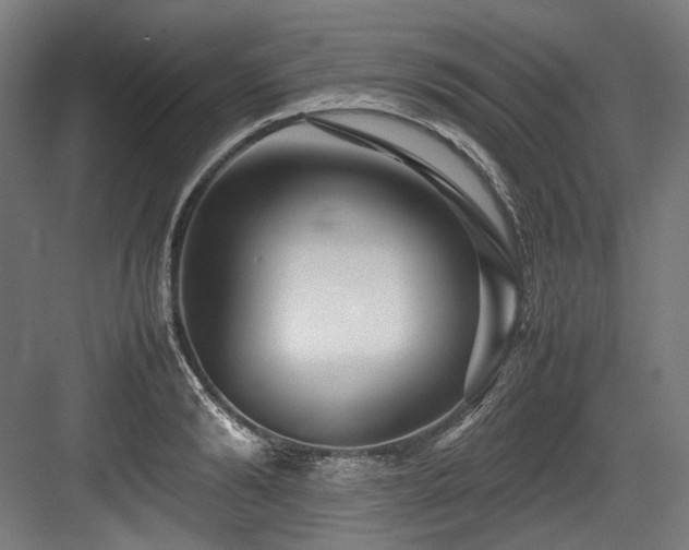 X0000083660894200702121213