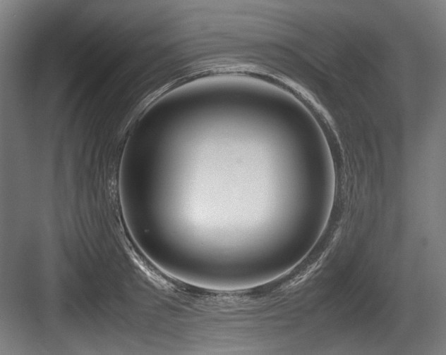 X0000083660897200702121213
