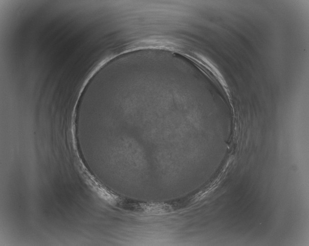 X0000083660899200702121213