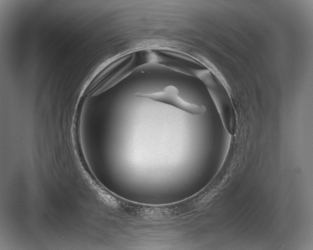 X0000083660901200702121213
