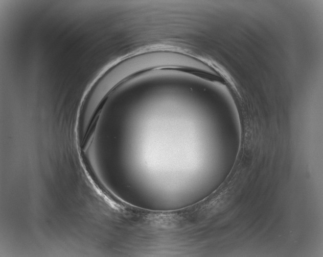 X0000083660902200702121213