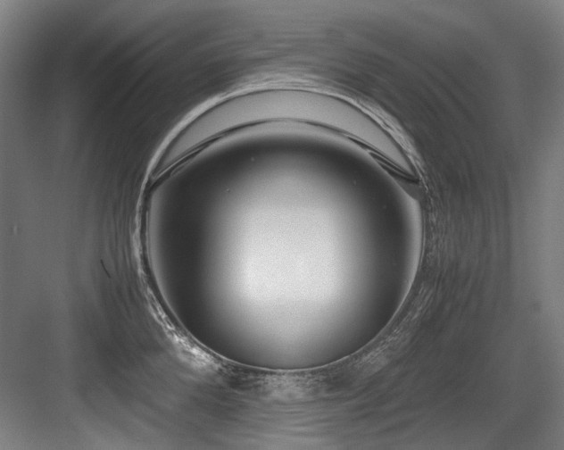 X0000083660904200702121213