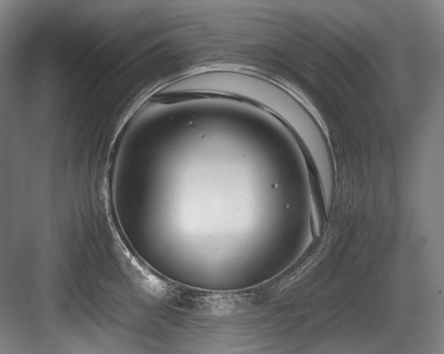 X0000083660906200702121213