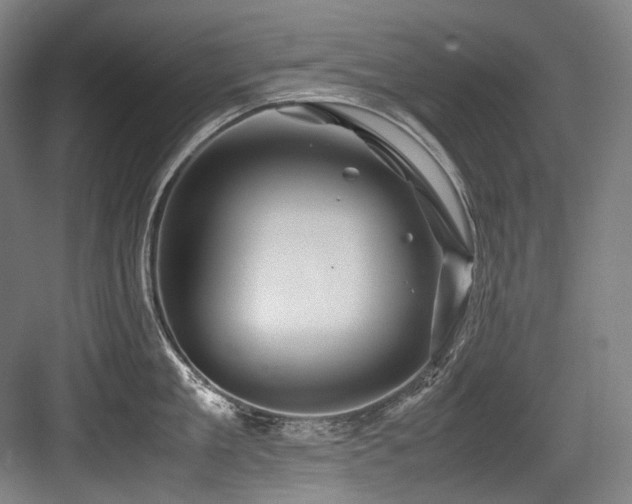 X0000083660909200702121213