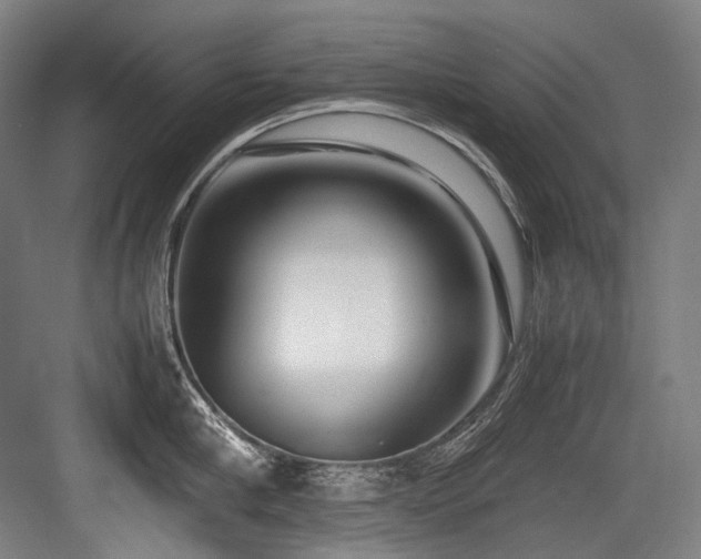 X0000083660910200702121213