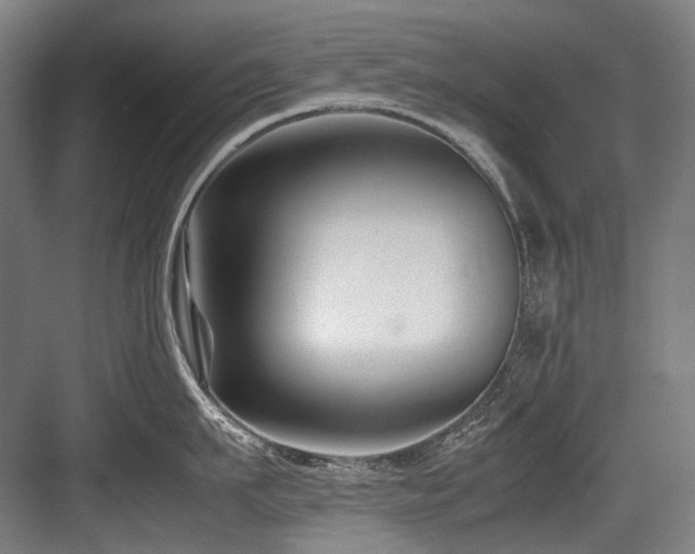 X0000083660911200702121213
