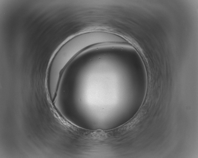 X0000083660912200702121213
