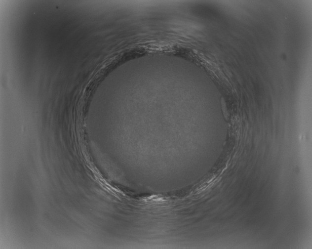 X0000083660913200702121212