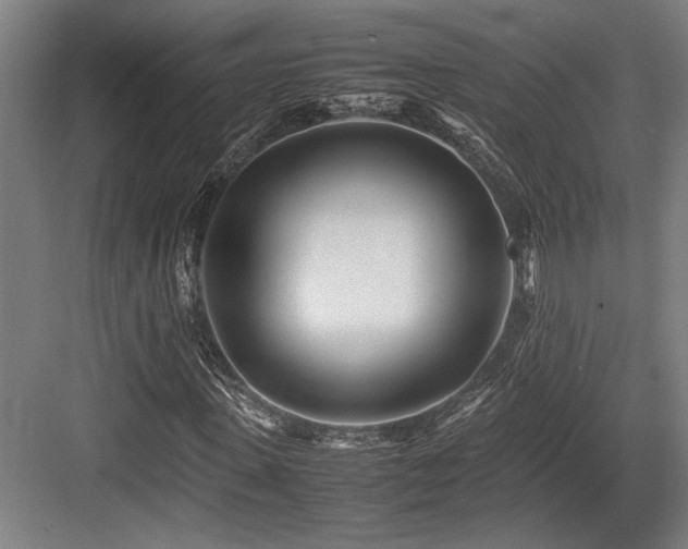 X0000083660915200702121212