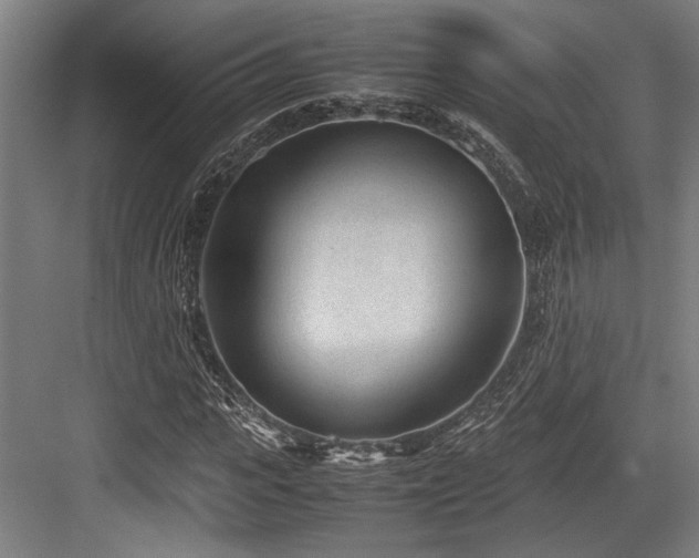 X0000083660919200702121212