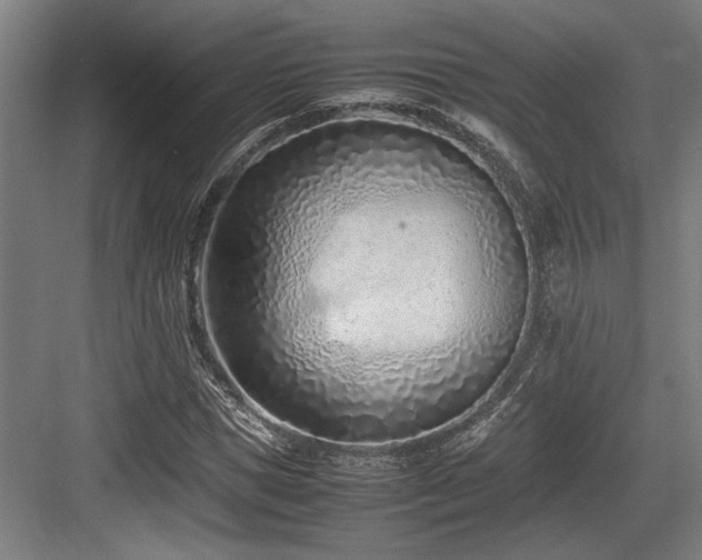 X0000083660921200702121212