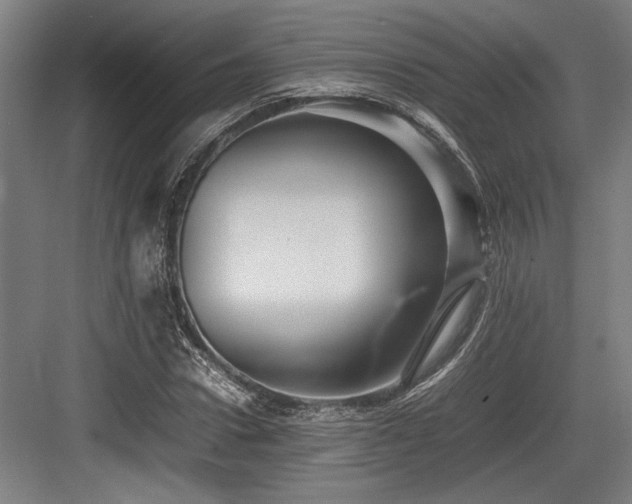 X0000083660922200702121212