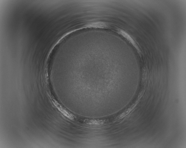 X0000083660923200702121212