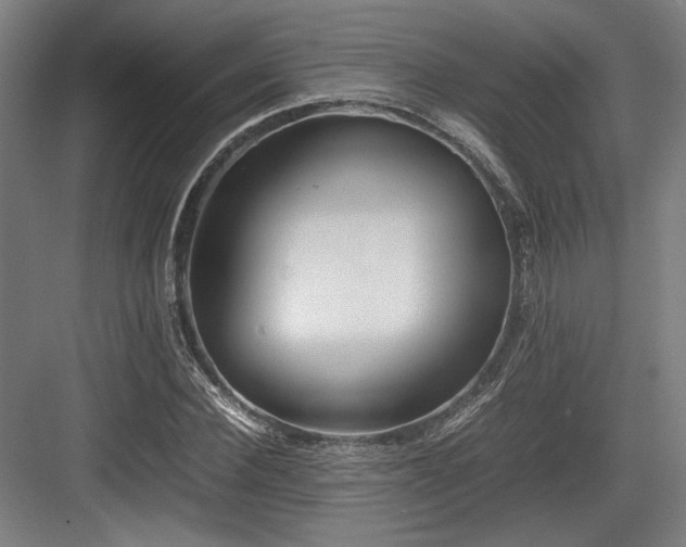 X0000083660924200702121212
