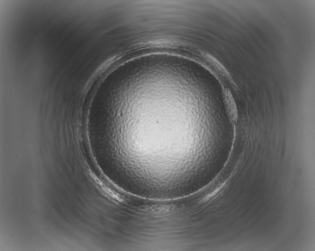 X0000083660930200702121212