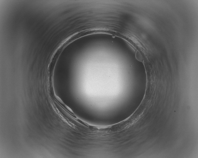 X0000083660933200702121212