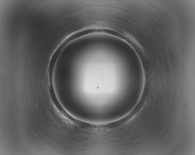X0000083660934200702121212