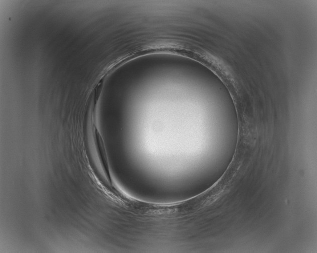 X0000083660937200702121212