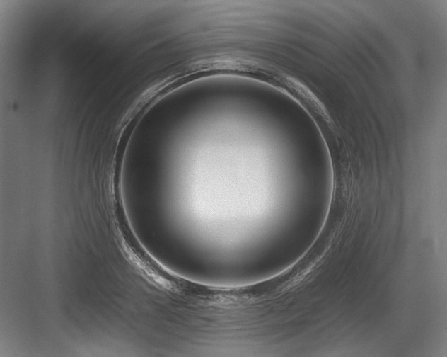 X0000083660938200702121212
