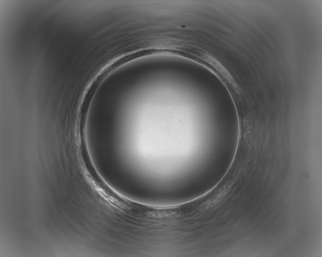 X0000083660939200702121212