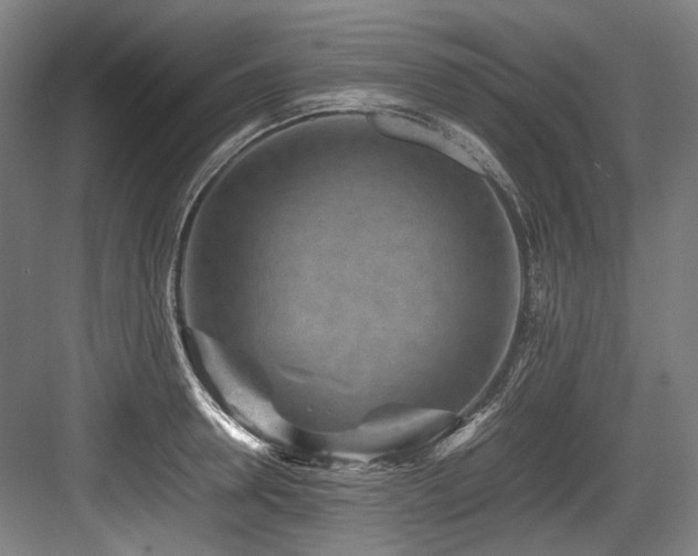X0000083660946200702121212