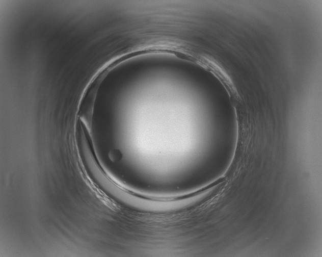 X0000083660948200702121212