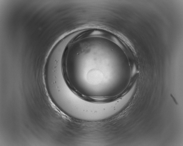 X0000083660950200702121212