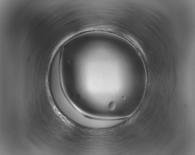 X0000083660952200702121212