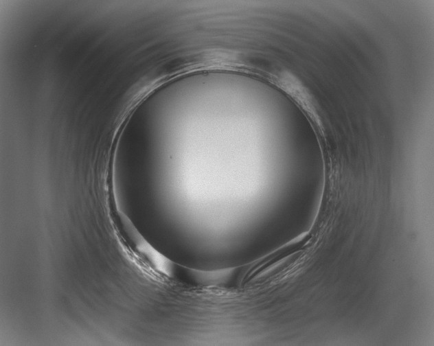 X0000083660954200702121212