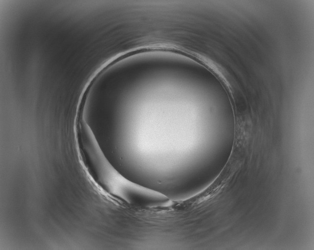 X0000083660959200702121212