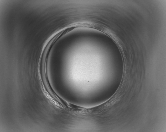 X0000083660960200702121212