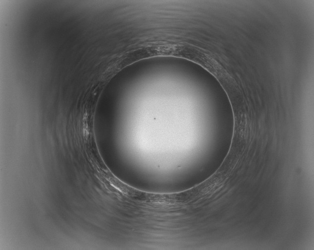 X0000083660962200702121212