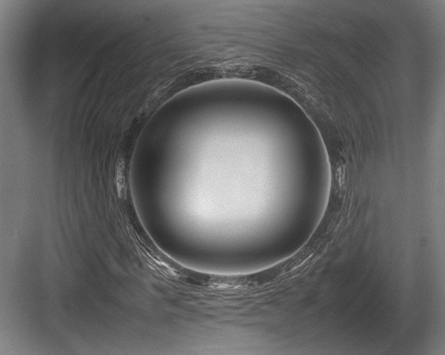 X0000083660963200702121212