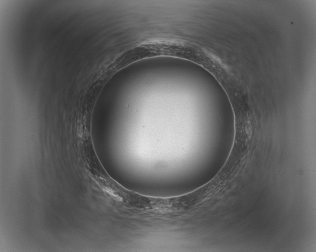 X0000083660965200702121211