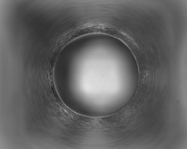 X0000083660966200702121211