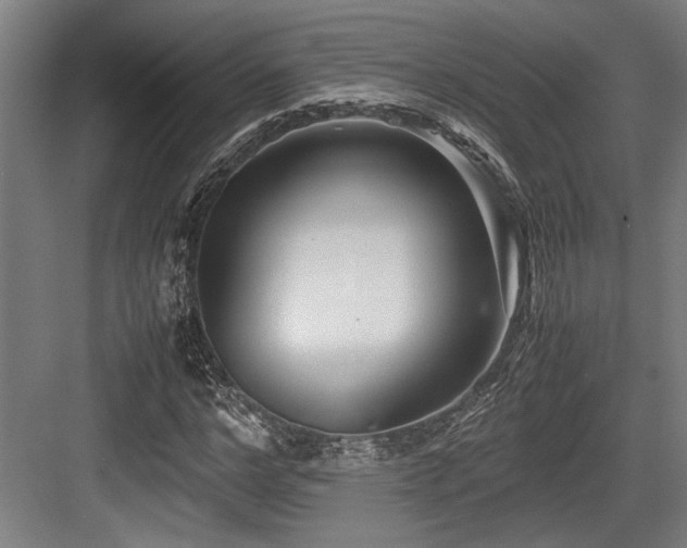 X0000083660968200702121211