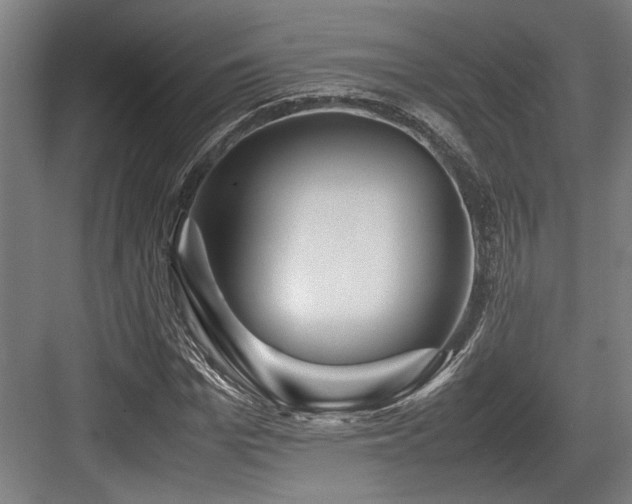 X0000083660969200702121211