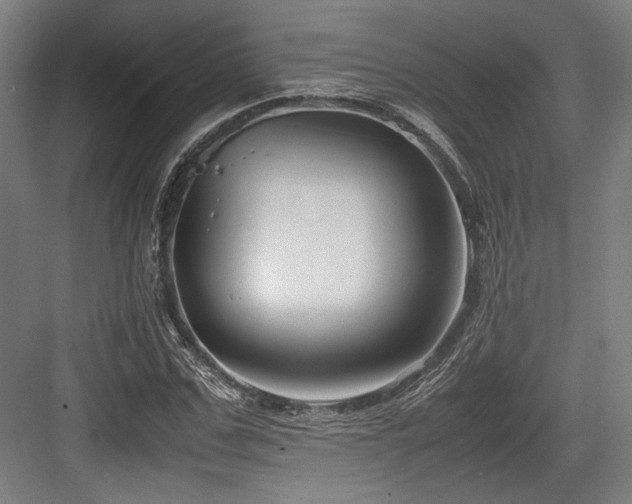 X0000083660971200702121211