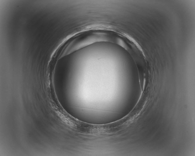 X0000083660973200702121211
