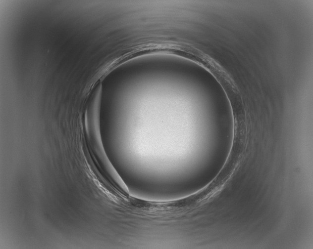 X0000083660985200702121211